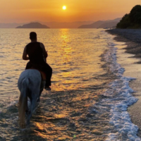 Fethiye at safari turu resimleri